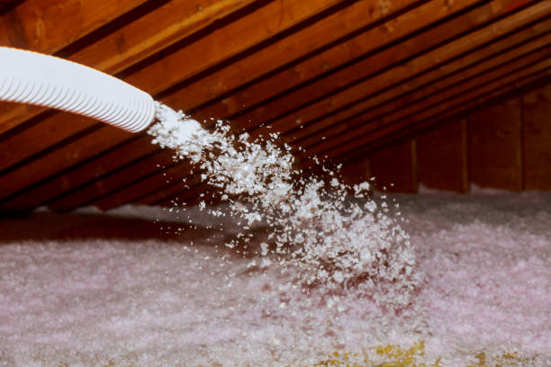 Best Insulation Materials and Products in Butler Beach, FL