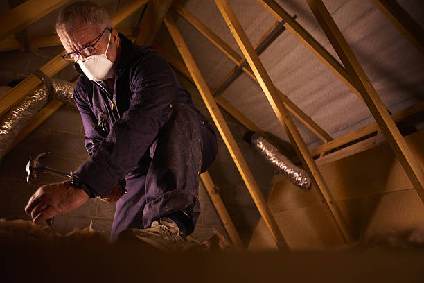 Best Insulation Maintenance and Repair in Butler Beach, FL